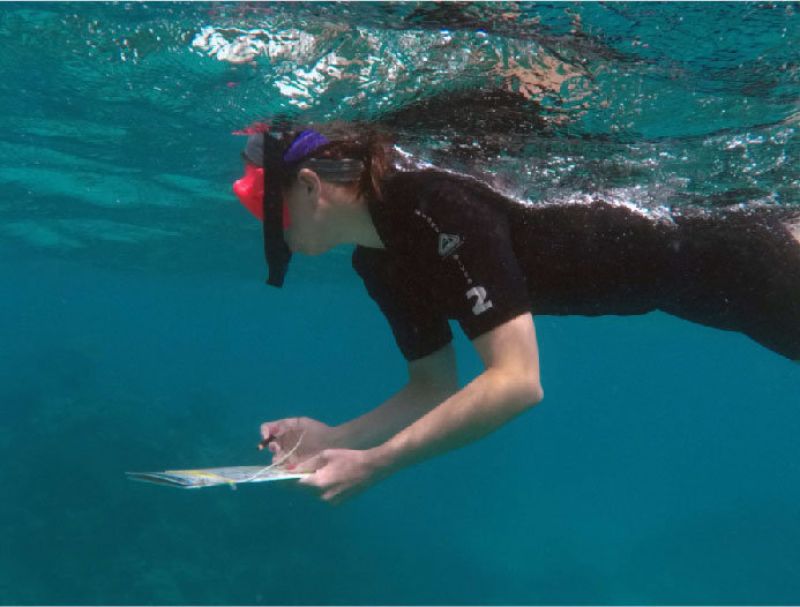 Student surveying a reef with a clipboard